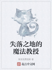 失落之地的魔法教授