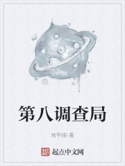 第八调查局