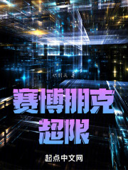 赛博朋克：超限