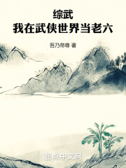 综武：我在武侠世界当老六