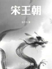 宋王朝