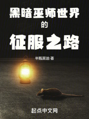 黑暗巫师世界的征服之路