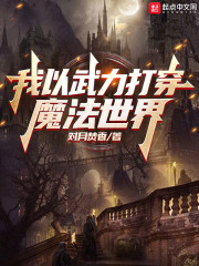 我以武力打穿魔法世界