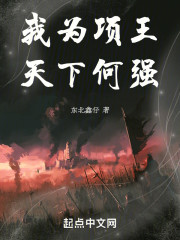 我为项王，天下何强