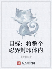 目标：将整个忍界封印体内