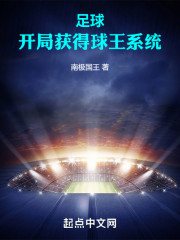 足球：开局获得球王系统