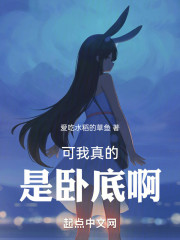 可我真的是卧底啊