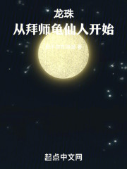 龙珠：从拜师龟仙人开始