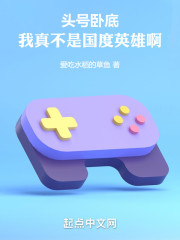 头号卧底：我真不是国度英雄啊！