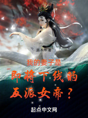 我的妻子是即将下线的反派女帝？