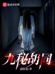 九秘胡同