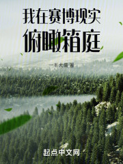 我在赛博现实俯瞰箱庭