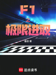 F1之极限进取