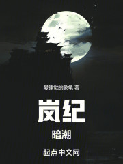 岚纪：暗潮