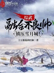 综武：融合不良帅，镇压雪月城！