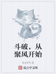 斗破，从聚风开始