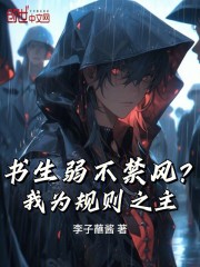 书生弱不禁风？我为规则之主