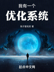 我有一个优化系统