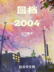 回档2004