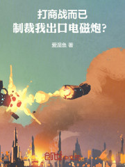 打商战而已，制裁我出口电磁炮？