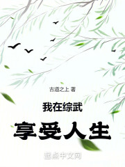 我在综武享受人生