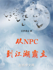 从NPC到江湖霸主