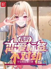 我的恋爱标签不对劲