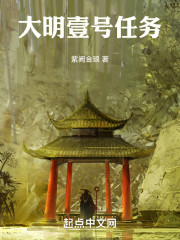 大明壹号任务