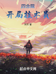 四合院：开局技术员