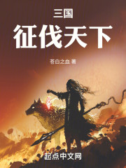 三国：征伐天下