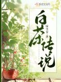 白茶传说封面图