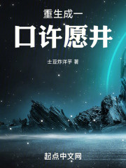 重生成一口许愿井