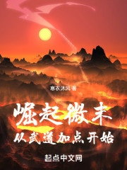 崛起微末：从武道加点开始