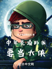 中年秃顶的我要当大侠