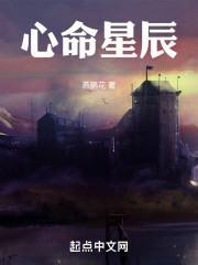 盘龙之心命星辰