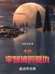 木叶，宇智波的复仇