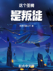 这个圣骑，是叛徒