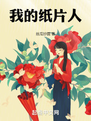 我的纸片人