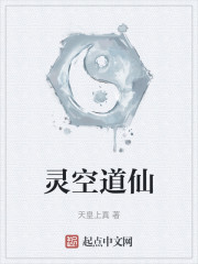 灵空道仙