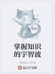 掌握知识的宇智波