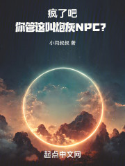 疯了吧，你管这叫炮灰NPC？