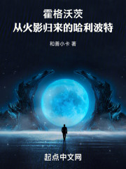 霍格沃茨：从火影归来的哈利波特