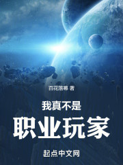 我真不是职业玩家