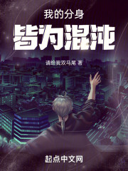 我的分身皆为混沌