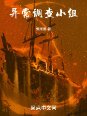 异常调查小组