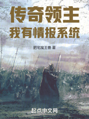 传奇领主：我有情报系统