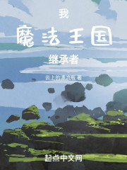 我，魔法王国继承者