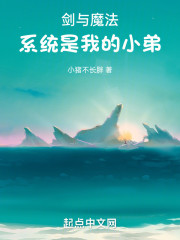 剑与魔法：系统是我的小弟