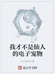 我才不是仙人的电子宠物