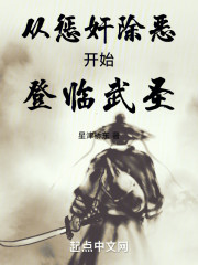 从惩奸除恶开始登临武圣